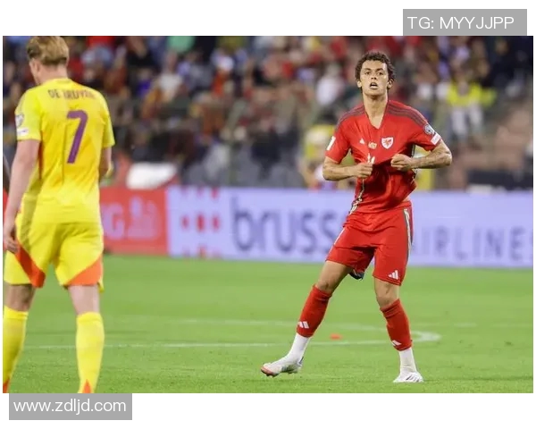 比利时足球一流球星崛起与影响力解析及未来展望