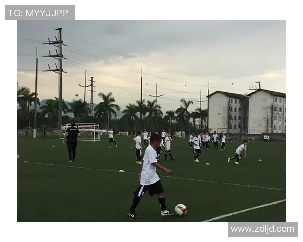 中国球星足球学校：培养未来足球之星的摇篮与梦想平台